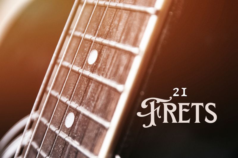 21 Frets On An Electric Guitar