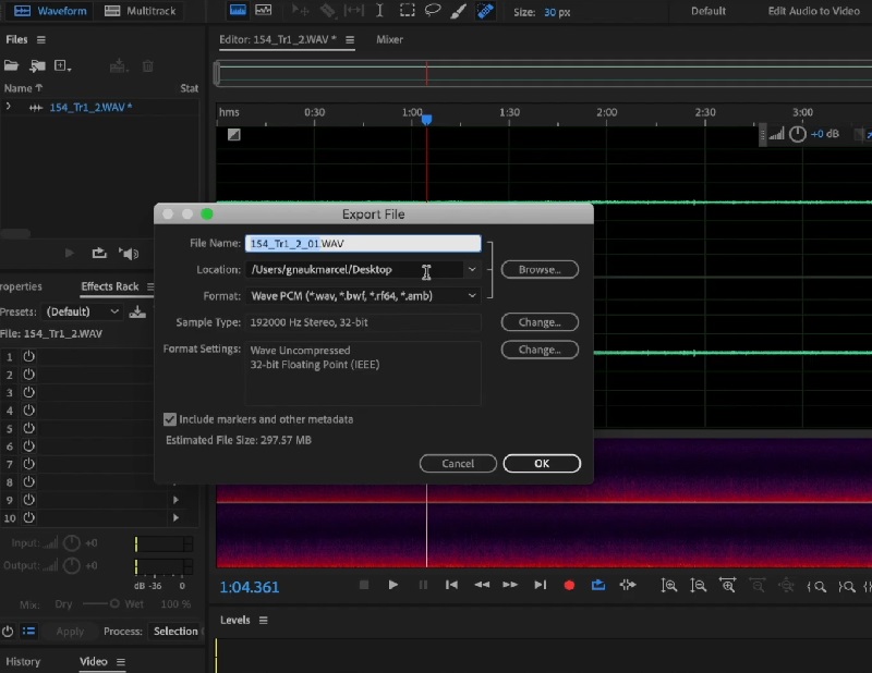 Audio export window in editing software showing settings for saving a high-quality WAV file during field recordings workflow