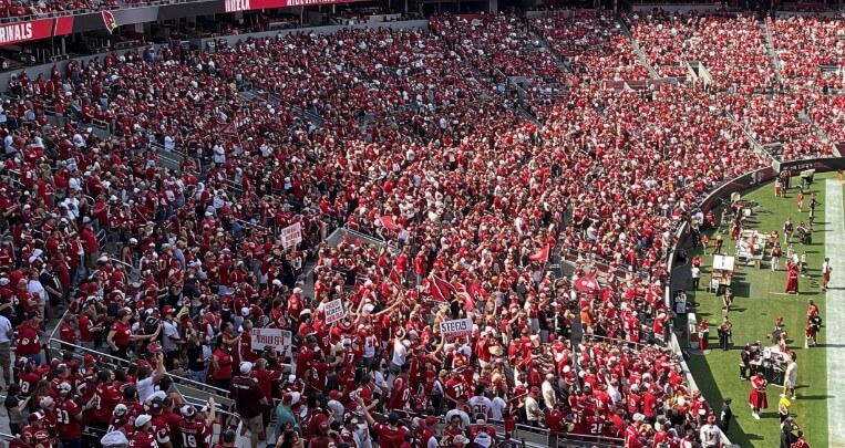 Fans of Arizona Cardinals on a stadium