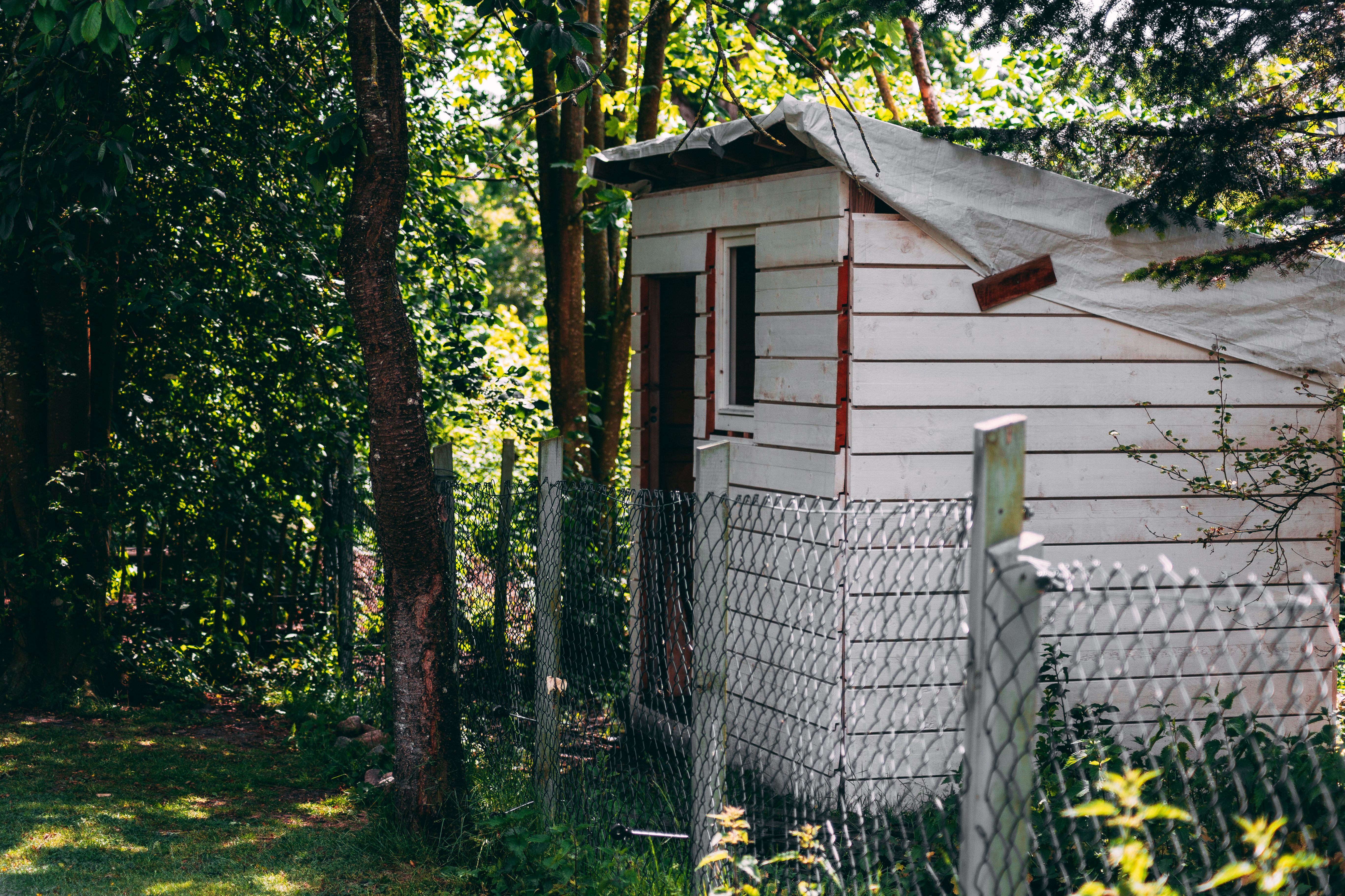 A rustic wooden shed in a lush garden setting, ideal for a backyard music studio